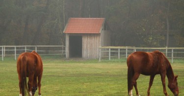 Galerie Hof Brentano Emsland