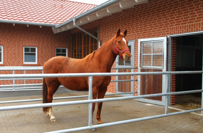 Haupthaus Stall